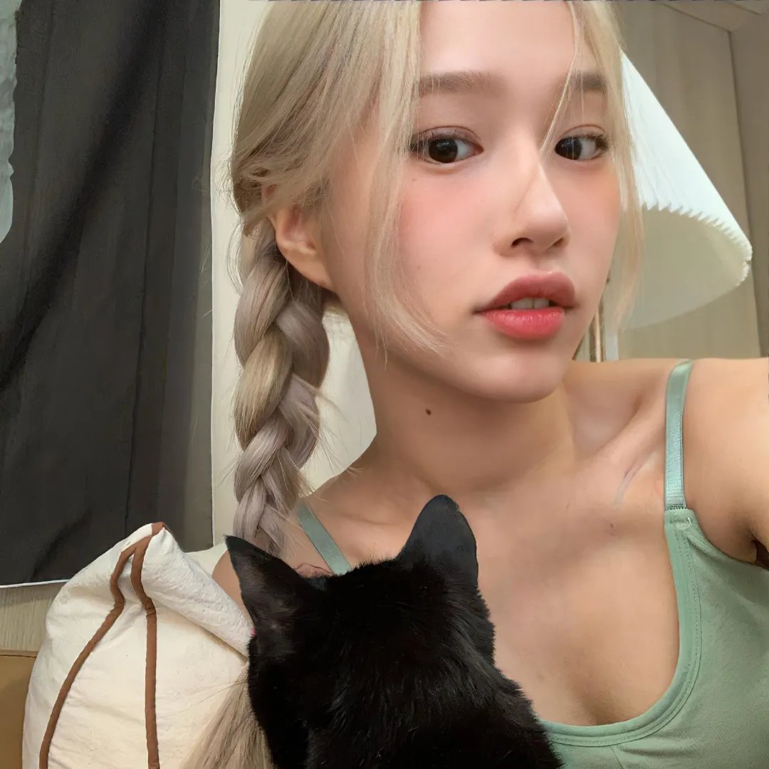 新东京猫猫